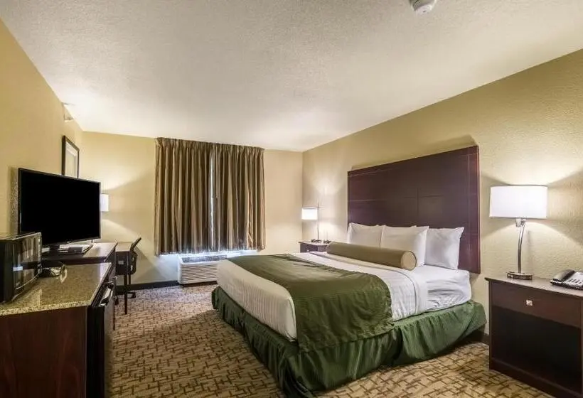 身障者適用キングサイズベッドルーム, Cobblestone Inn & Suites  Lakin