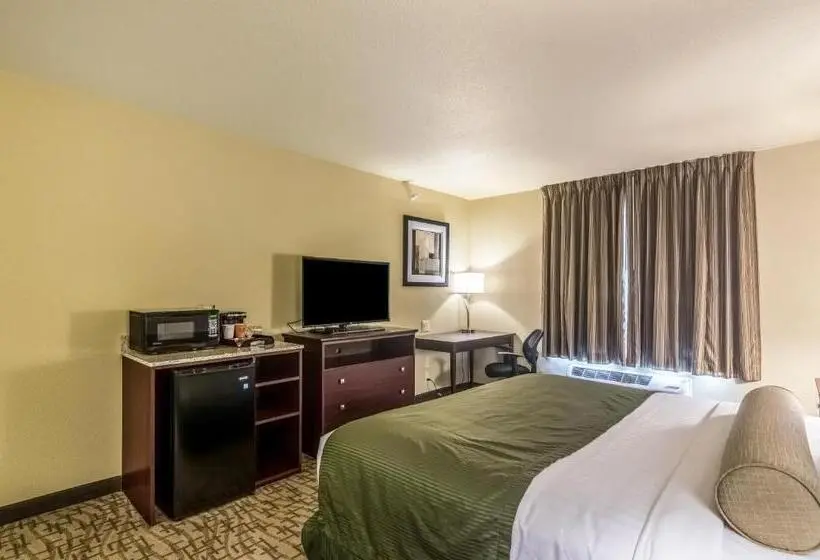 身障者適用キングサイズベッドルーム, Cobblestone Inn & Suites  Lakin