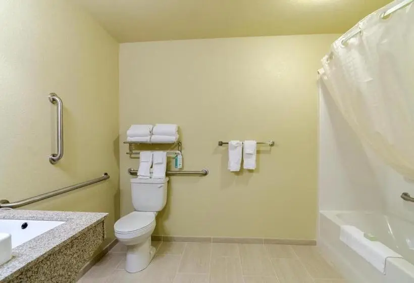 身障者適用キングサイズベッドルーム, Cobblestone Inn & Suites  Lakin