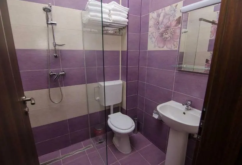 Standard-huone Terassi, Pensiunea Scorilo