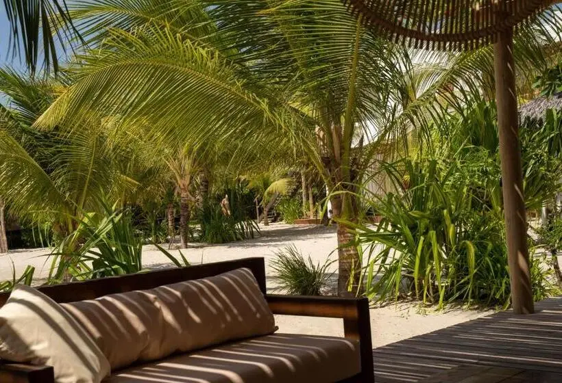 スタンダードバンガロー, Kite Lodge Brazil