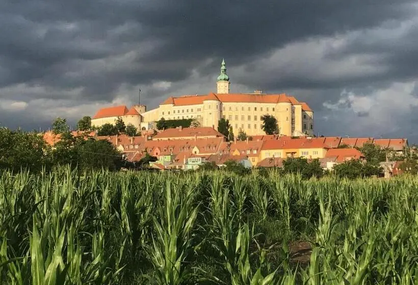 آپارتمان سوپریور 1 خوابه, Apartmány Sebastian
