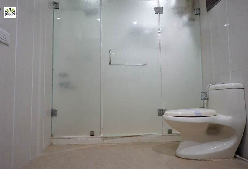 디럭스 룸, Pybss