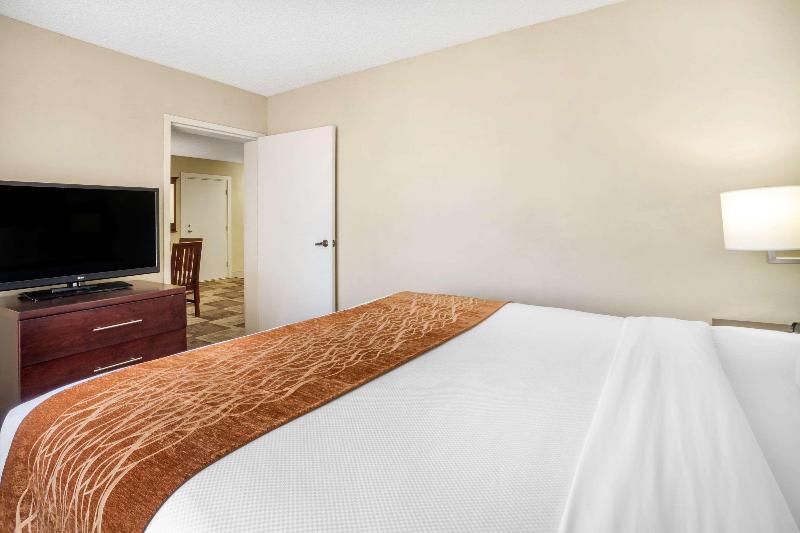 デラックスルーム, Apollon