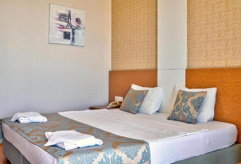 スタンダードルーム, Blue Fish