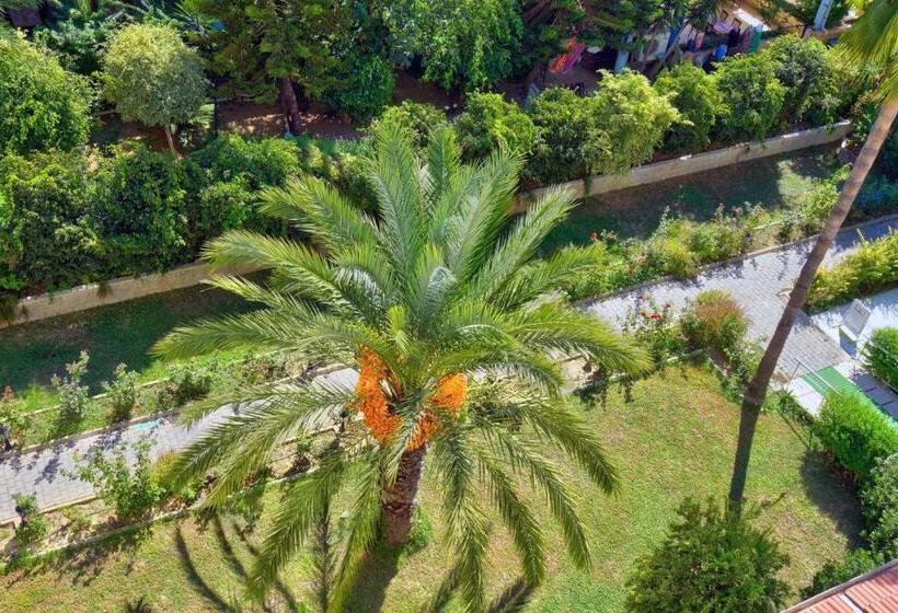 スタンダードトリプルルーム, Blue Fish