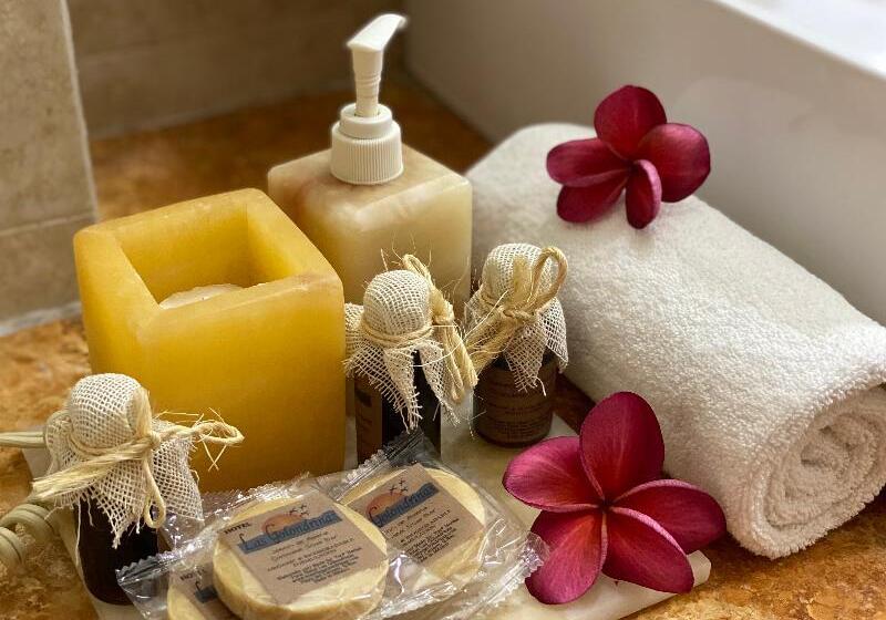 スタンダードルーム, Las Golondrinas