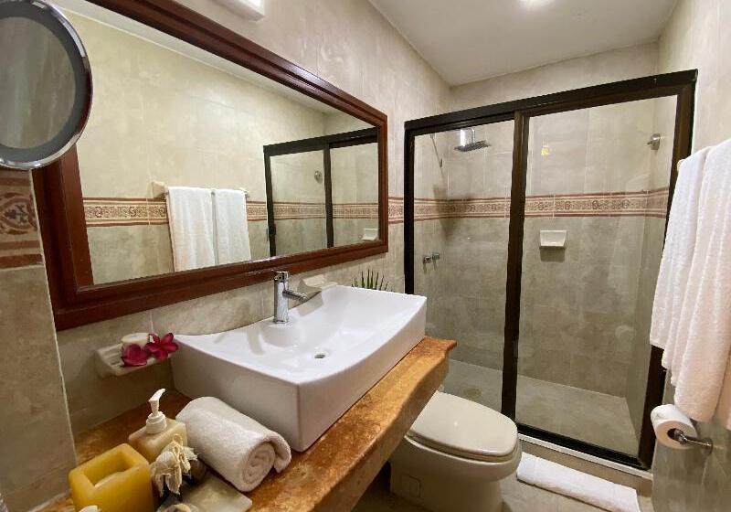 スタンダードルーム, Las Golondrinas