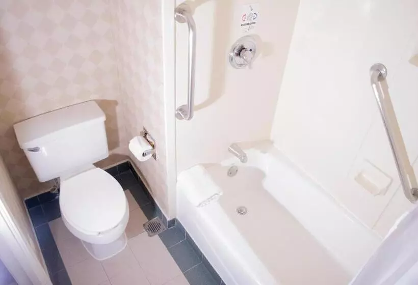 اتاق استاندارد با تخت بزرگ, Istay Hotel Ciudad Victoria