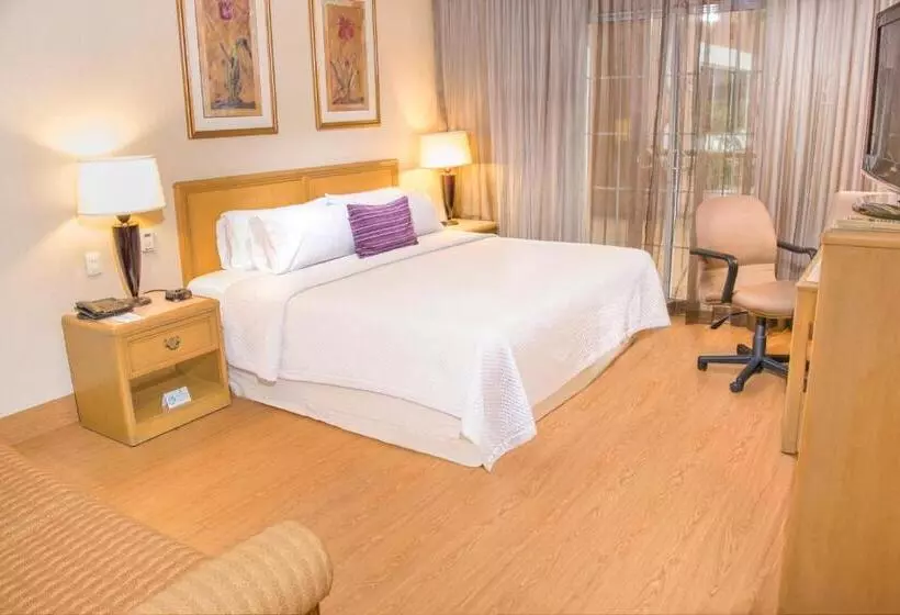اتاق استاندارد با تخت بزرگ, Istay Hotel Ciudad Victoria