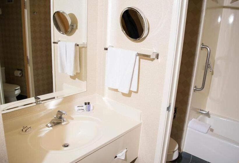 غرفه قياسيه سريرين مزدوجين, Istay Hotel Ciudad Victoria