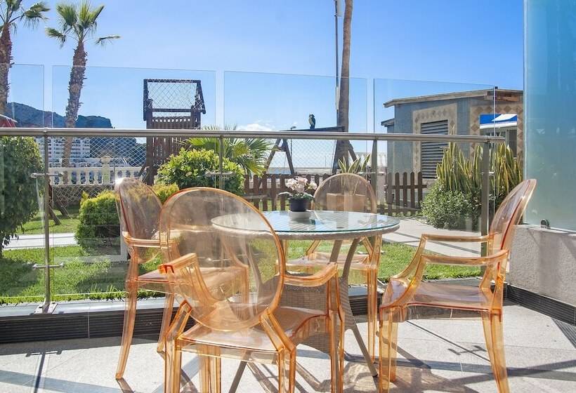 استودیوی استاندارد, Aparthotel Maracaibo