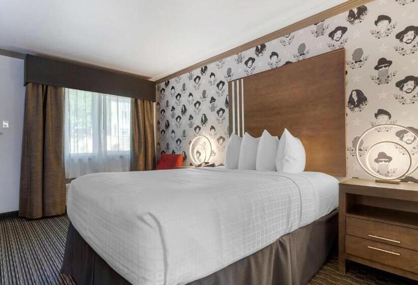 Номер Стандарт, Aiden Austin City