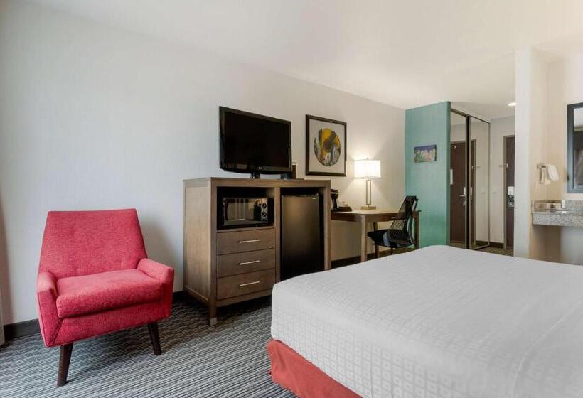 Номер Стандарт Кровать Кинг Адаптированный для Инвалидов, Aiden Austin City