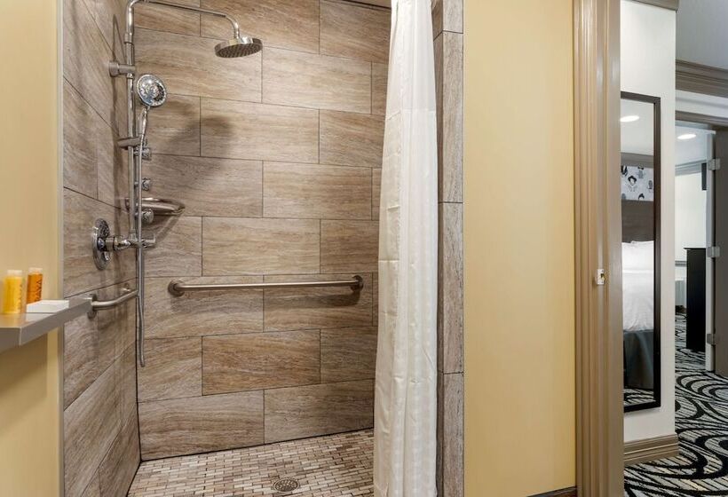 Люкс Адаптированный для Инвалидов, Aiden Austin City