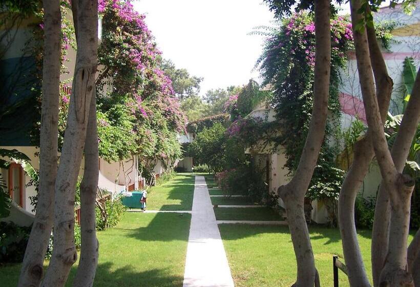 Номер Стандарт, Club Boran Mare Beach   All Inclusive