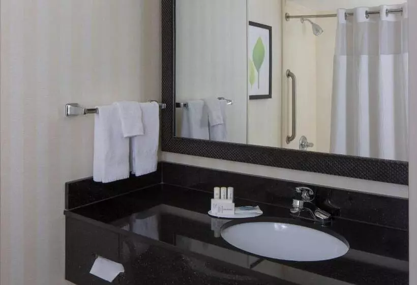 スタンダードルーム, Fairfield Inn & Suites By Marriott Orlando Lake Buena Vista