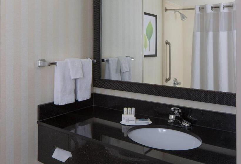 Люкс Кровать Кинг, Fairfield Inn & Suites By Marriott Orlando Lake Buena Vista