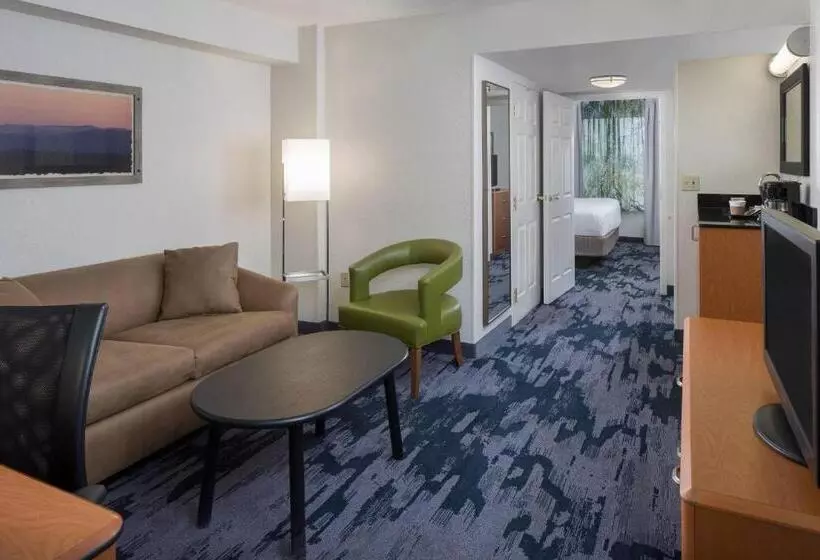 キングサイズベッドのスイートルーム, Fairfield Inn & Suites By Marriott Orlando Lake Buena Vista