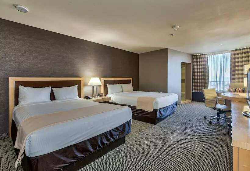デラックスルーム, Plaza Hotel & Casino