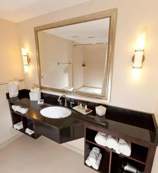 سوئیت دلوکس 2 خوابه, Ramada Plaza Resort & Suites By Wyndham Orlando Intl Drive