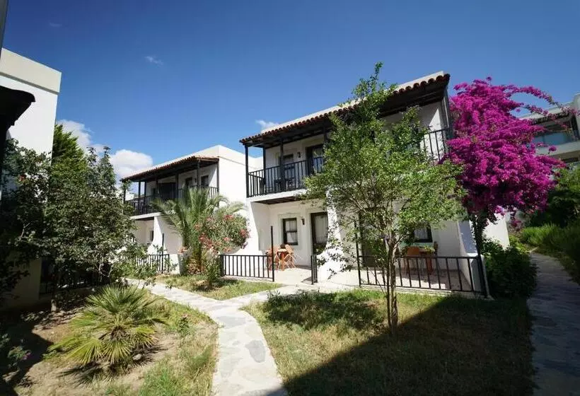 スタンダードトリプルルーム, Salinas Beach Hotel Bodrum Boutique Concept