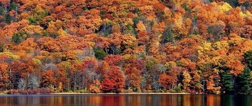 스탠다드 룸 더블 침대, Eagle View Motel & Retreat