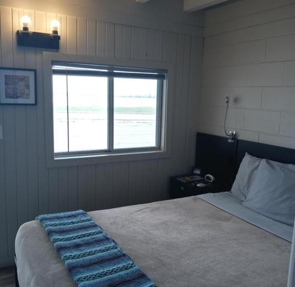 Standart Oda, The Cedar Motel