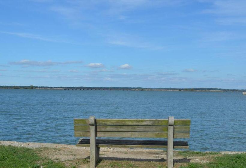 Standart Oda, The Cedar Motel