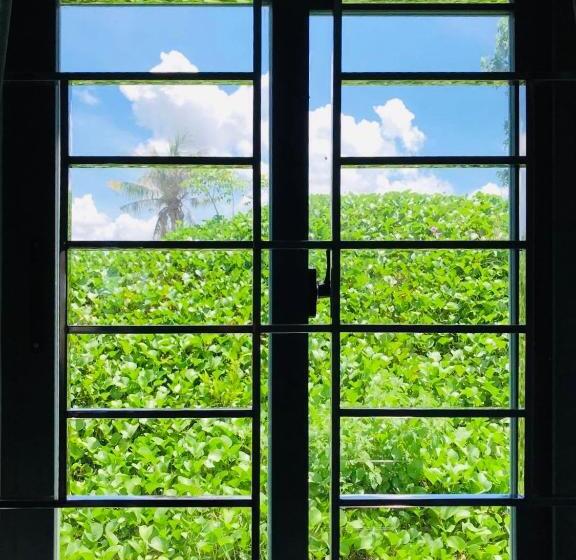 اتاق سوپریور, Vivian Hotel Mui Ne