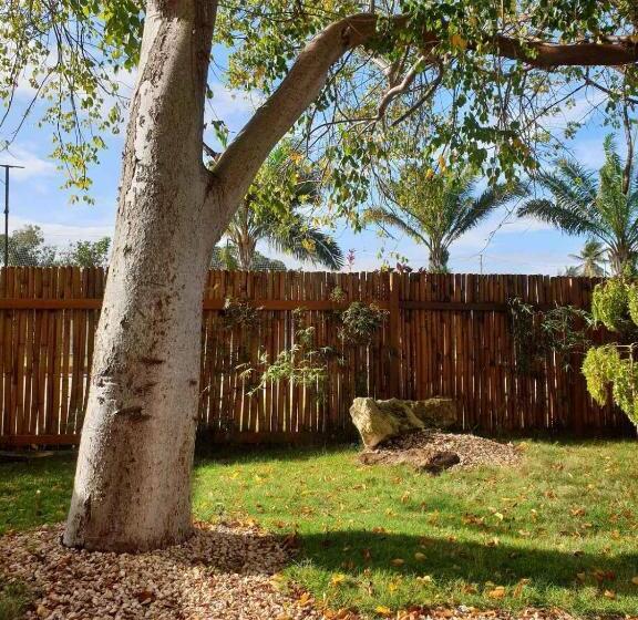 テラス付き1ベッドルームアパートメント, Tanama