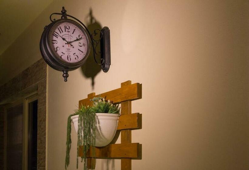 テラス付スイート, Al Mokhtar Furnished Units