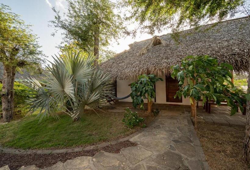 １ベッドルームハウス, Twoten° Surf Home