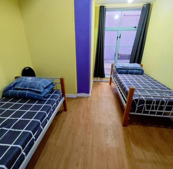 스탠다드 룸, Frienz Backpacker