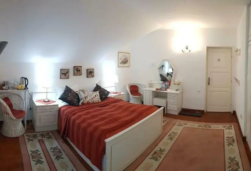 اتاق استاندارد با چشمانداز باغ, Casa Vanatorului