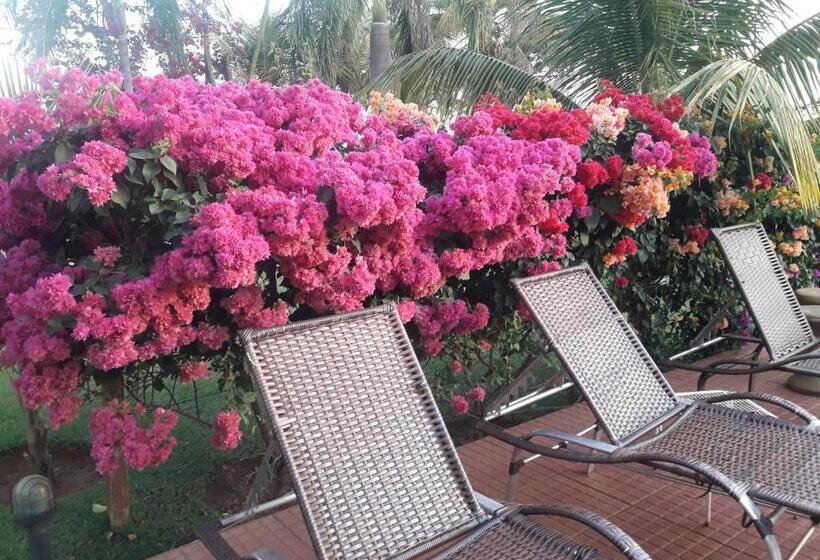 اتاق استاندارد, Pousada Recanto Do Sussego