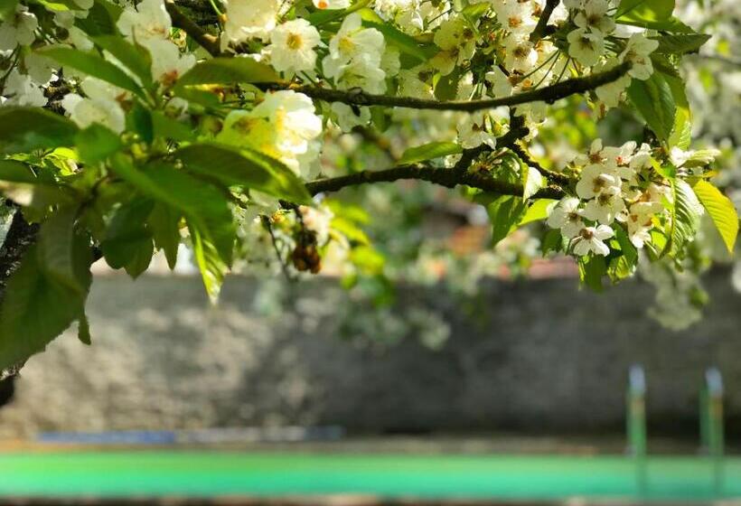 이코노미 룸, Côté Serein   Les Chambres Du Clos Malo