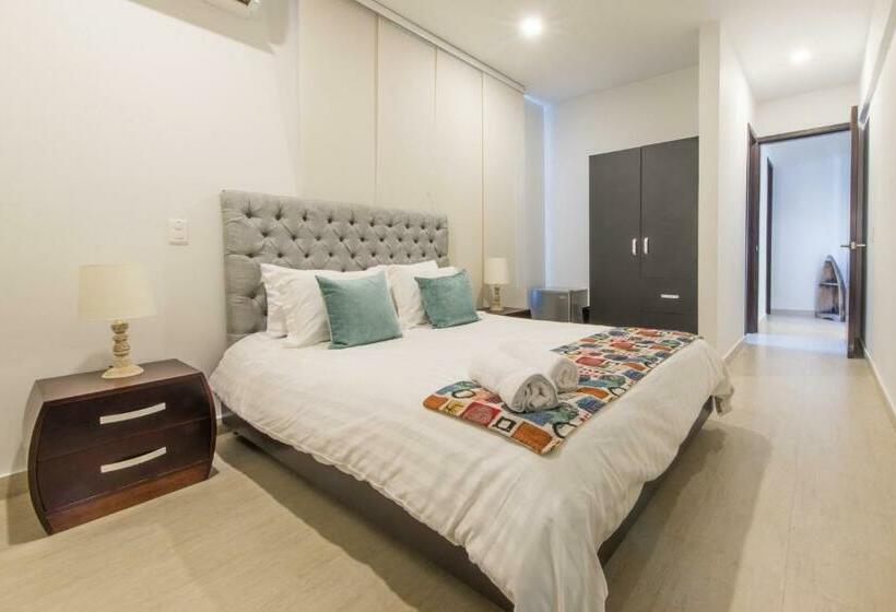 Camera Standard, Providence Breeze