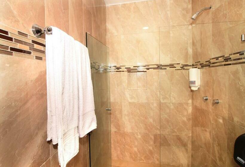 سوئیت با تخت بزرگ, Papagayo Hotel Boutique