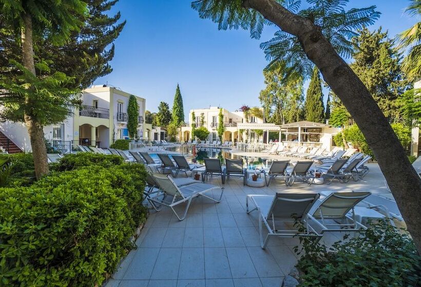 스탠다드 룸, Paloma Family Club