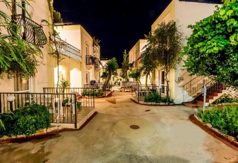 패밀리 룸, Paloma Family Club