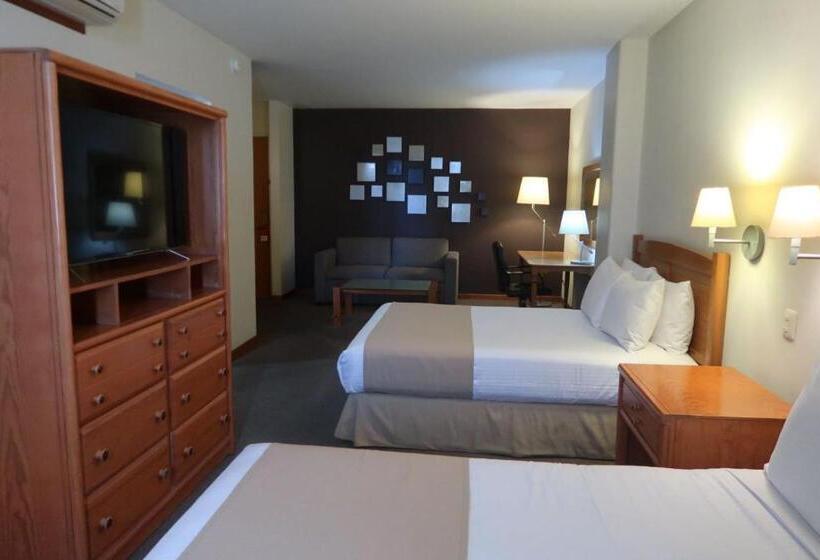 סוויטת ג'וניור, Gamma Durango Plaza Vizcaya