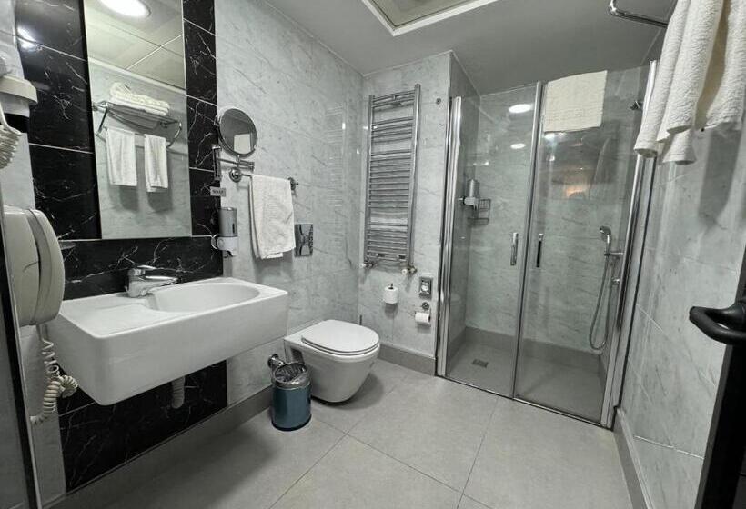スタンダードインサイドビュールーム, The Hotel Beyaz Saray & Spa   Special Category