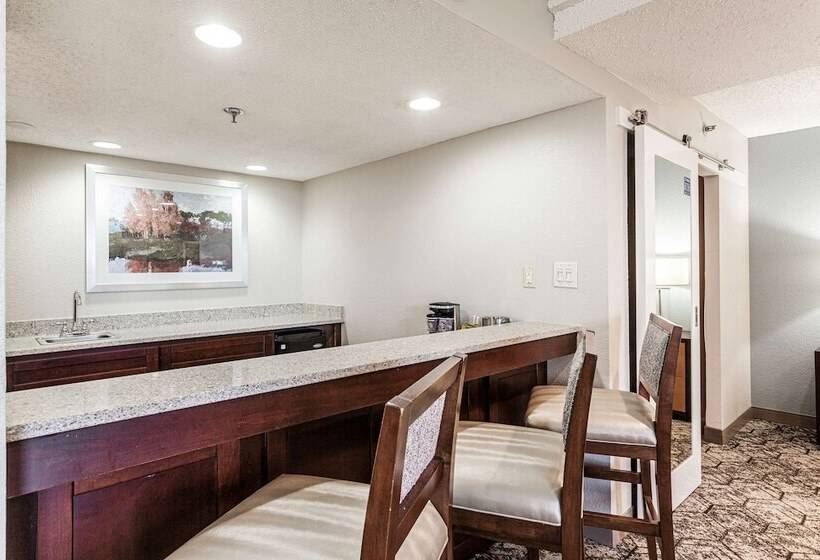 小型套房, Doubletree By Hilton Hotel Memphis