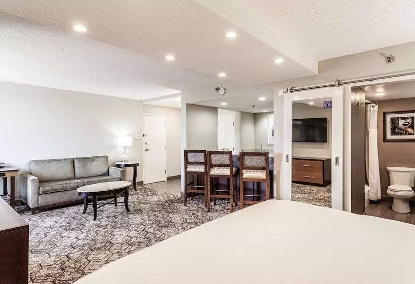 ジュニアスイート, Doubletree By Hilton Hotel Memphis