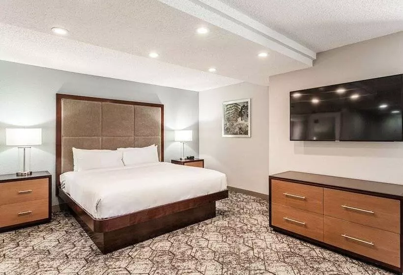ジュニアスイート, Doubletree By Hilton Hotel Memphis