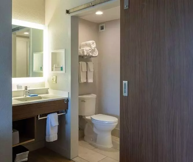 اتاق استاندارد, Holiday Inn Express New Orleans Downtown, An Ihg