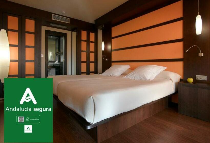 Chambre Standard, Abades Nevada Palace