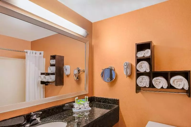 سوئیت با تخت بزرگ, Holiday Inn Express Hotel & Suites San Jose Morgan Hill, An Ihg