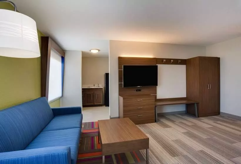 سوییت, Holiday Inn Express Hotel & Suites Tampa Fairgrounds Casino, An Ihg